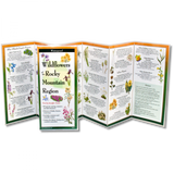 The Wildflowers of the Rocky Mountain Region folding guide unfolded and upright, accordion style, showing the contents of the guide, which has illustrations of wildflowers with printed information on wildflowers
