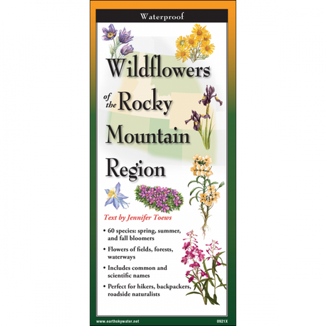The cover image of Wildflowers of the rocky Mountain Region folding guide featuring a selection of illustrations of wildflowers against a map of the Mid-Atlantic US states