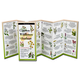 The Common Wildflowers of the Southeast folding guide unfolded and upright, accordion style, showing the contents of the guide, which has illustrations of wildflowers with printed information on wildflowers