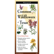 The cover image of Common Wildflowers Texas folding guide featuring a selection of illustrations of wildflowers against a map of Texas