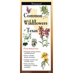 The cover image of Common Wildflowers Texas folding guide featuring a selection of illustrations of wildflowers against a map of Texas