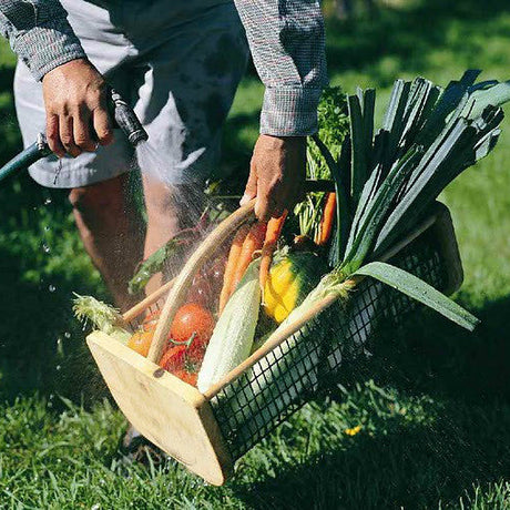 a bent figure holding the garden hod filled with garden fresh vegetables in one hand and a hose spraying the veggies with the other in a garden setting
