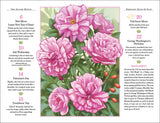 2027 Gardening Wall Calendar