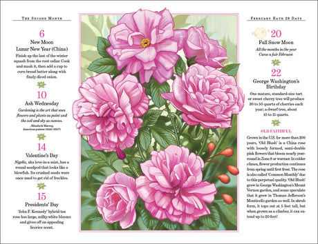 A square card or print featuring a central illustration of pink flowers with green leaves, surrounded by columns of text with dates and short paragraphs. The left and right columns contain informational text about days and events, while the center shows the floral artwork.