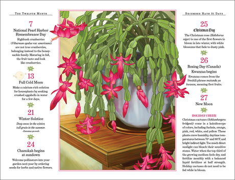 A printed calendar or garden guide page showing a central photograph of bright pink fuchsia flowers on green stems, with text columns on the left and right listing dates and gardening notes such as National Pearl Harbor Remembrance Day, Christmas Eve, Boxing Day (Canada), and New Moon.