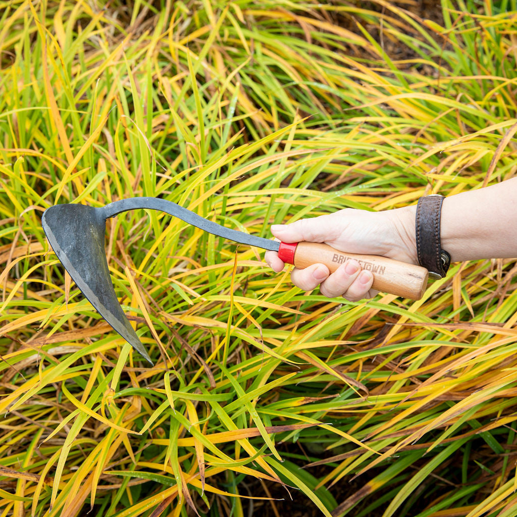 Handy Hoe