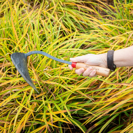 Handy Hoe