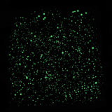 the stars of the heavenly bodies tee glowing in the dark