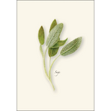 Herb Notecard Assortment
