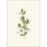 Herb Notecard Assortment