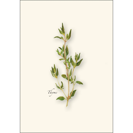 Herb Notecard Assortment
