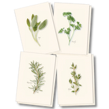 Herb Notecard Assortment