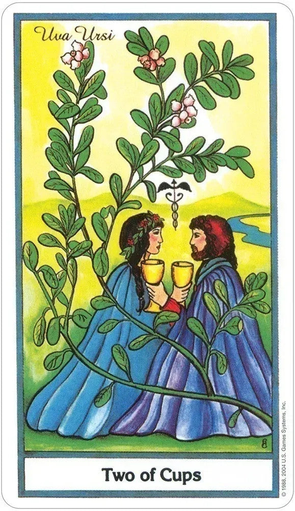 Two of Cups tarot card illustration for the Herbal Tarot deck featuring herbs and esoteric symbols