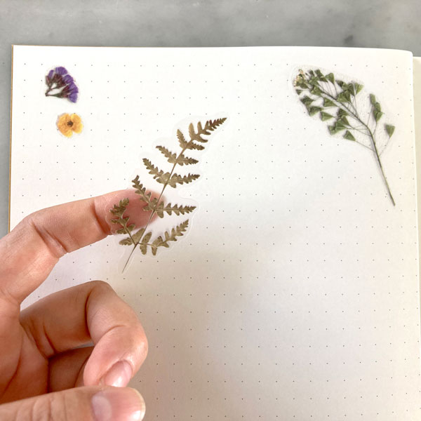 Pressed Flowers Sticker Sheet - Ferns