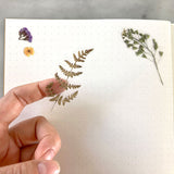 Pressed Flowers Sticker Sheet - Ferns