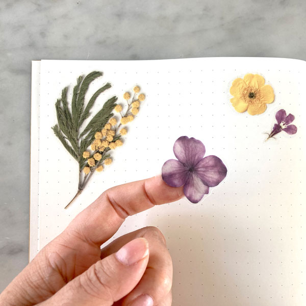Pressed Flowers Sticker Sheet - Yellows and Purples