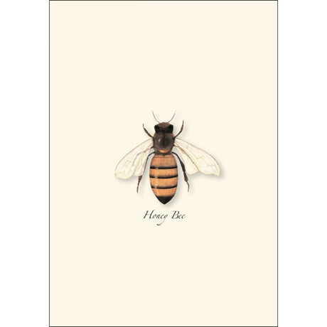 a close up of the honey bee illustration on the notecard
