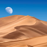2027 Moon Wall Calendar