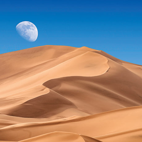 2027 Moon Wall Calendar