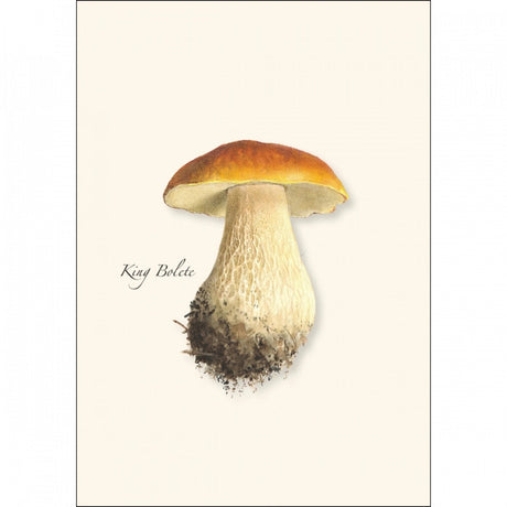 a close up of the art on one of the notecards featuring an illustration of a King Bolete mushroom