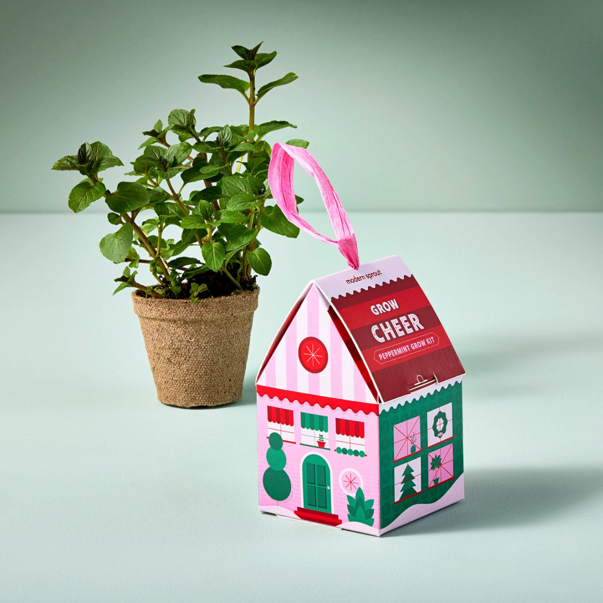 the Grow Cheer - peppermint ornament next to a small potted peppermint plant grown with the supplies that came with the ornament