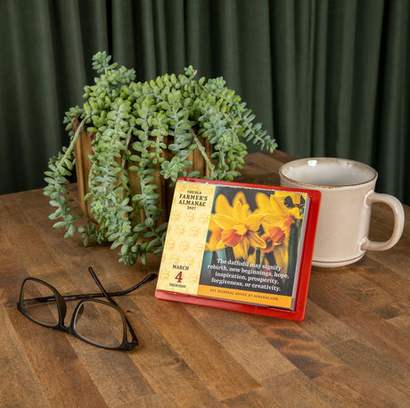 The Old Farmer's Almanac 2027 Everyday Desk Calendar
