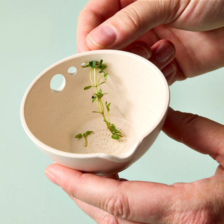 two hands holding the peel grate & prep dish using the holes to strip the leaves off of fresh thyme