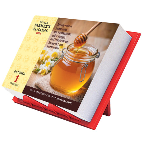 2026 Everyday Calendar