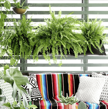 Pocket Wall Planter