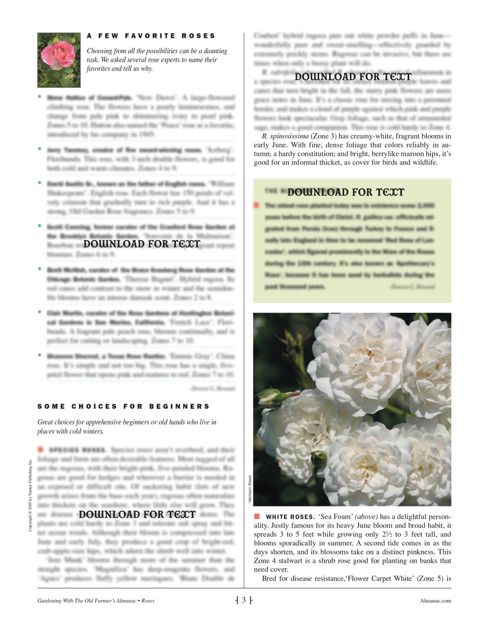 Almanac Rose Guide - Interior Page Sample