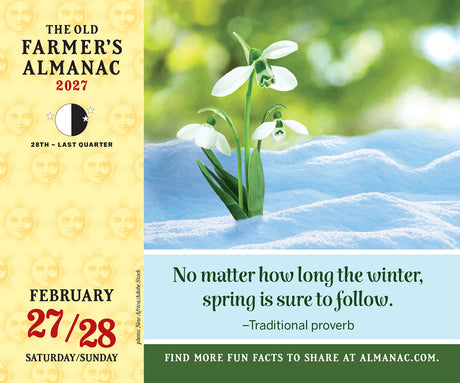 The Old Farmer's Almanac 2027 Everyday Desk Calendar