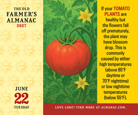 The Old Farmer's Almanac 2027 Everyday Desk Calendar