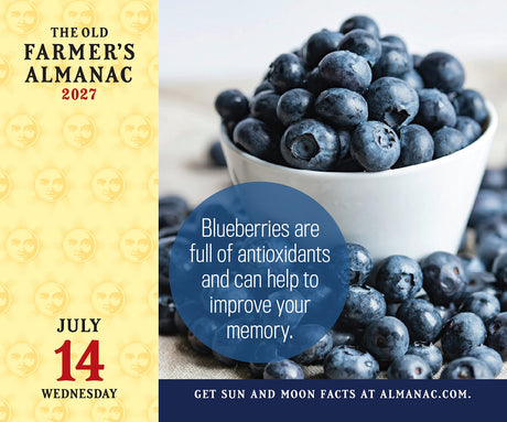 The Old Farmer's Almanac 2027 Everyday Desk Calendar
