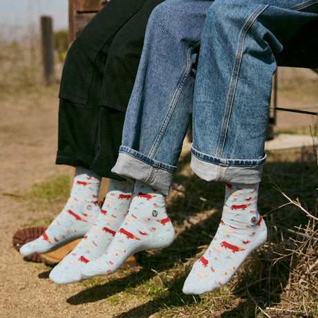 Socks that Protect Farm Animals Gift Box