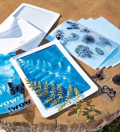 contents of the solar print kit and sun prints on a wood surface