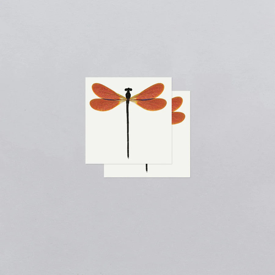 two sets of amber damselfly temporary tattoos showing the tattoo layout on the sheets