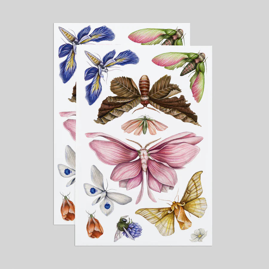 2 full sheets of the floraflies tempoary tattoo sheets showing all of the butterflies on the sheet