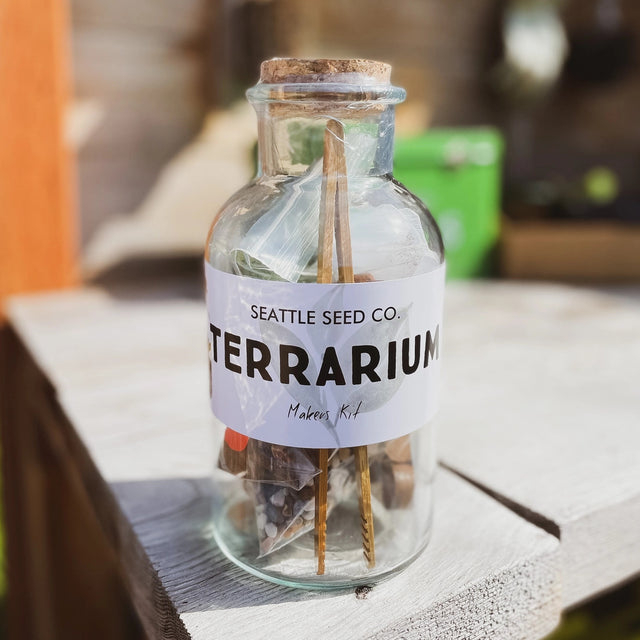 Jar Terrarium with Soil and Moss Garden Crafts Kit