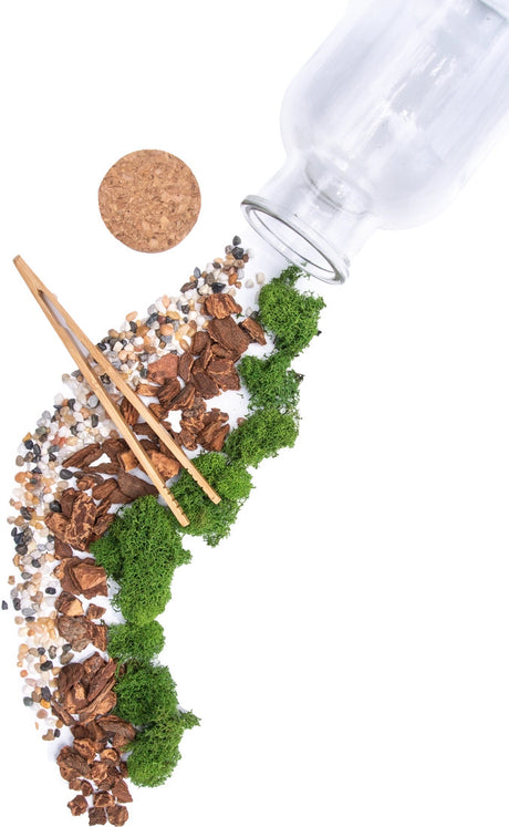 Jar Terrarium with Soil and Moss Garden Crafts Kit