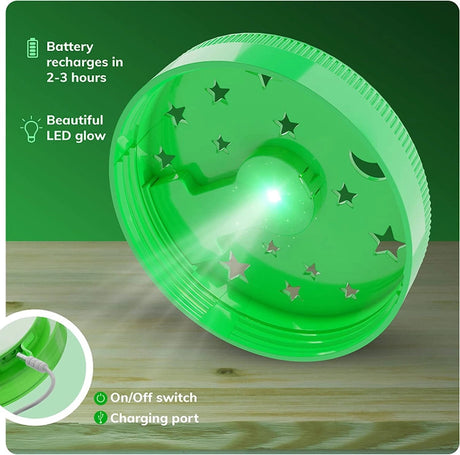 the LEDlight on the lid of the terrarium showing the light source