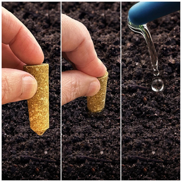 The Old Farmer's Almanac Houseplant & Flower 5-5-5 Plant Food Spikes (12 Mini Spikes)