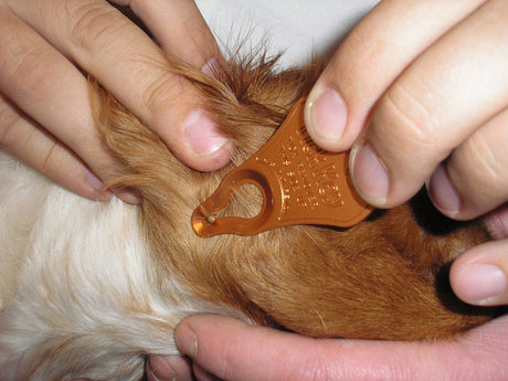 Easy, fast, clean, and complete tick removal!