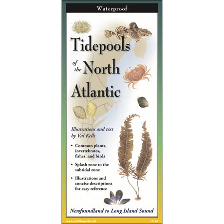 Cover image of Tidepools of the North Atlantic folding guide with illustrations of common plants, invertebrates, fishes, and birds found in cold water tidepools against a map of the coast from the Long Island Sound up to Newfoundland