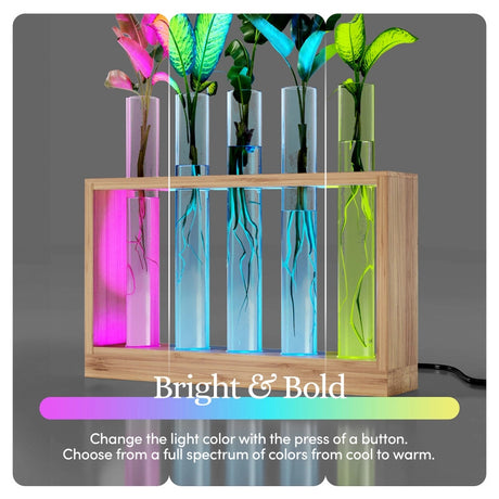 The air planter with the LED lights on - the photo is split into three sections to show the range of colors available for the lights including pink, blue, and green