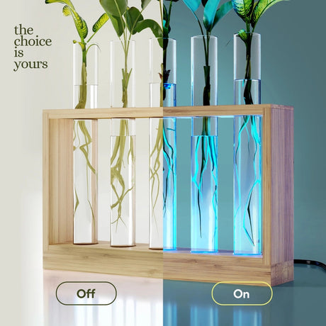 the air planter shown half in daylight with the lights off, and in the dark with the LED lights on showing the difference between the lights on and off