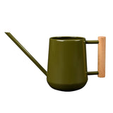 Indoor Watering Can
