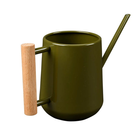 Indoor Watering Can