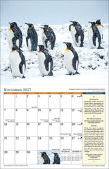 2027 Weather Wall Calendar