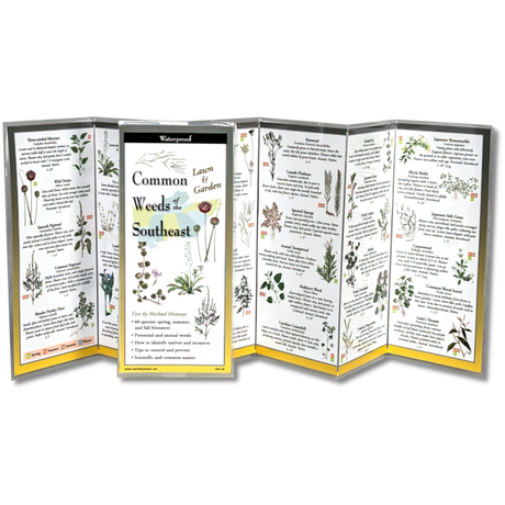 The Common Weeds of the Southeast folding guide unfolded and upright, accordion style, showing the contents of the guide, which has illustrations of weeds with printed information on weeds